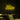 Neon Schild