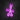 Neon Schild