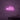 Neon Schild