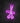 Neon Schild