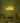 Neon Schild
