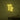 Neon Schild