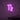 Neon Schild