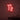 Neon Schild