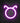 Neon Schild