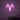 Neon Schild