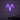 Neon Schild