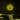 Neon Schild
