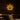 Neon Schild