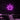 Neon Schild