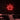 Neon Schild